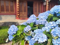 -珠海圆明新园