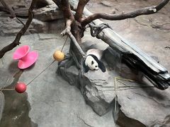 -宁波野生动物园