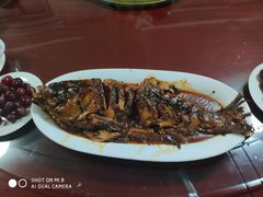 -金台阶鱼馆(于桥水库店)