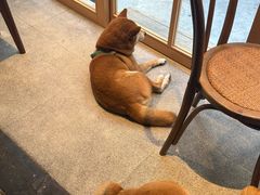 -三目仓咖啡(贤南路店)