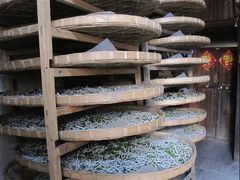 -新安江山水画廊风景区