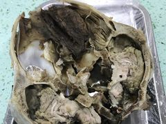 -尕胡才炕锅烤羊肉馆(八一路店)