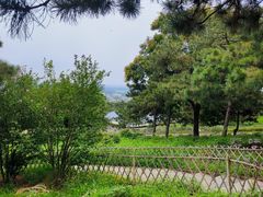 -北京西山国家森林公园