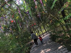 -西青郊野公园