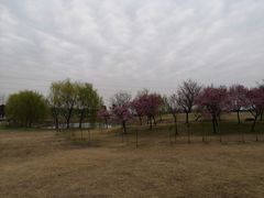 -漕湖湿地公园