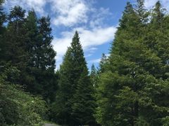 -山王坪喀斯特国家生态公园