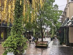 -比斯特上海购物村精品奥特莱斯