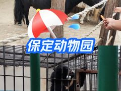 -保定市动物园