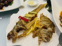 -骏莱海鲜鱼港(五角场店)