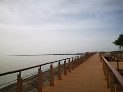 -东疆建设开发纪念公园
