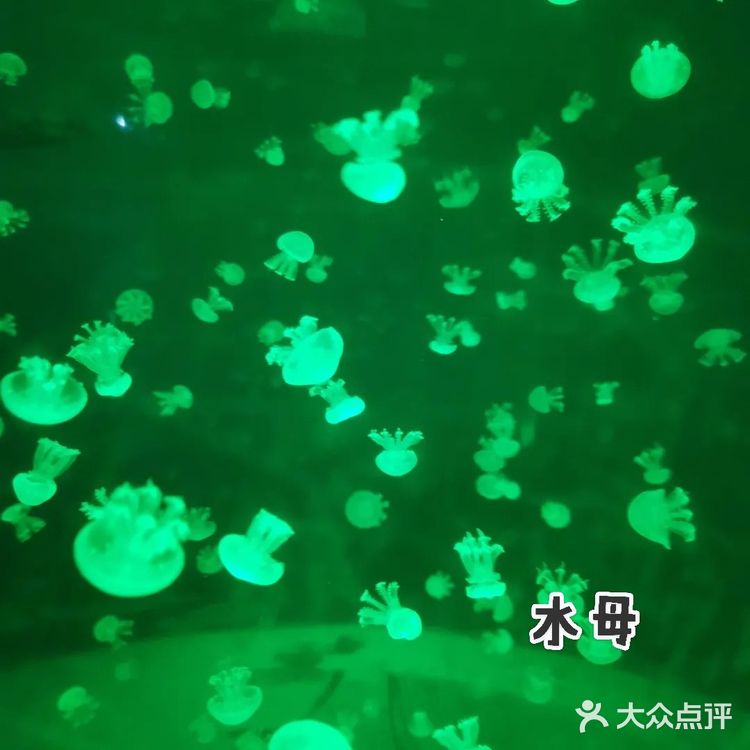 闲暇周末/欢乐海底世界