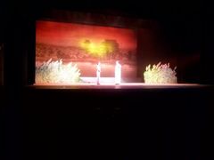 android_upload_pic-北京市曲剧团