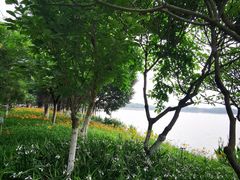 -海珠湖公园