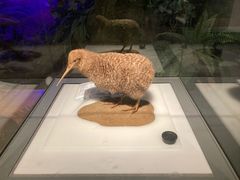 -长江文明馆