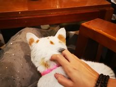 -五彩凉山自助西昌烧烤(柳翠路店)