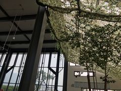 -5·12汉旺地震遗址