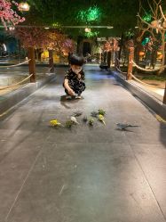 -酷嗒动物文化乐园(cutezoo西溪乐天城店)