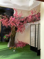 -盘子女人坊古装写真摄影(深圳店)