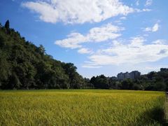 -贵阳市花溪国家城市湿地公园