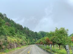 -龙湾潭国家森林公园