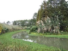 -桤木河湿地公园