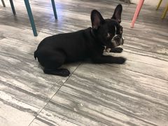 -茶力的小怪兽(梅林卓悦汇店)