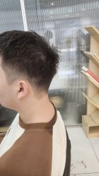 -世田造型