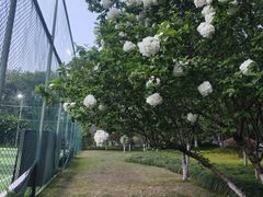 -杭州城北体育公园