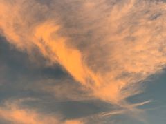 -上海市保健医疗中心