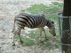 -丰宝源客家菜(常平店)