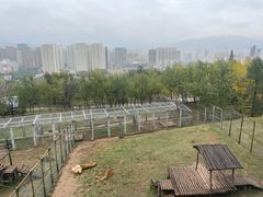 -青藏高原野生动物园