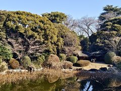 -东京国立博物馆