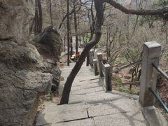 -崂山巨峰游览区
