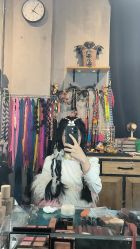 点击看大图 -风马映像摄影工作室(布宫店)