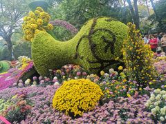 -杭州植物园