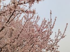 -马家湾湿地公园