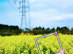 -白鹭湾湿地公园