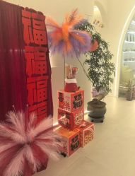 -紫琪尔·匠心连锁·胸部护理养护