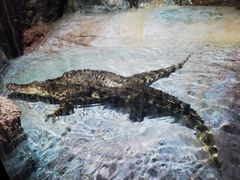 -福州罗源湾海洋世界旅游区