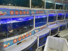 -黄记大闸蟹专卖店·活蟹·醉蟹