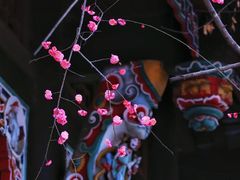 -望江楼公园