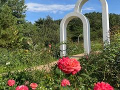 -名花谷生态庄园