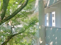 -湖北美术学院(昙华林校区)