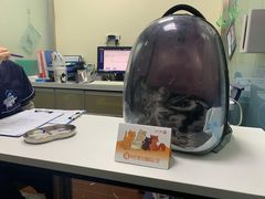 -宠物星动物医院·眼科·异宠·猫科(江南大道总院)