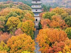 -灵谷景区