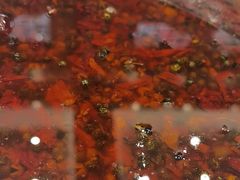 -天龙宝严素食馆(大兴善寺店)