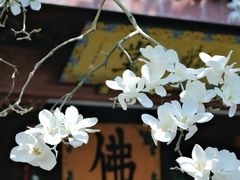 -杭州上天竺法喜讲寺