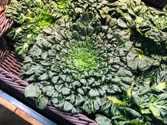 -果蔬好生活超市(乐堤港店)