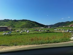 -关山草原