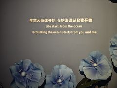 -重庆欢乐海底世界